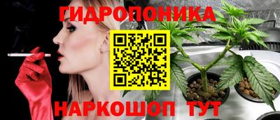 ГАЛЛЮЦИНОГЕННЫЕ ГРИБЫ Будённовск