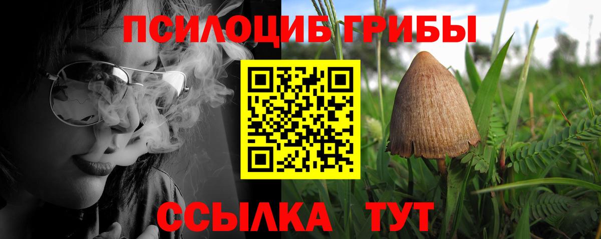 Галлюциногенные грибы Cubensis Сосновоборск